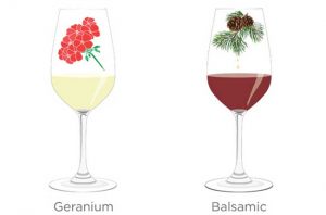 tasting notes decoded