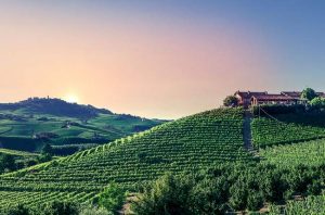 Barolo Riserva 2012