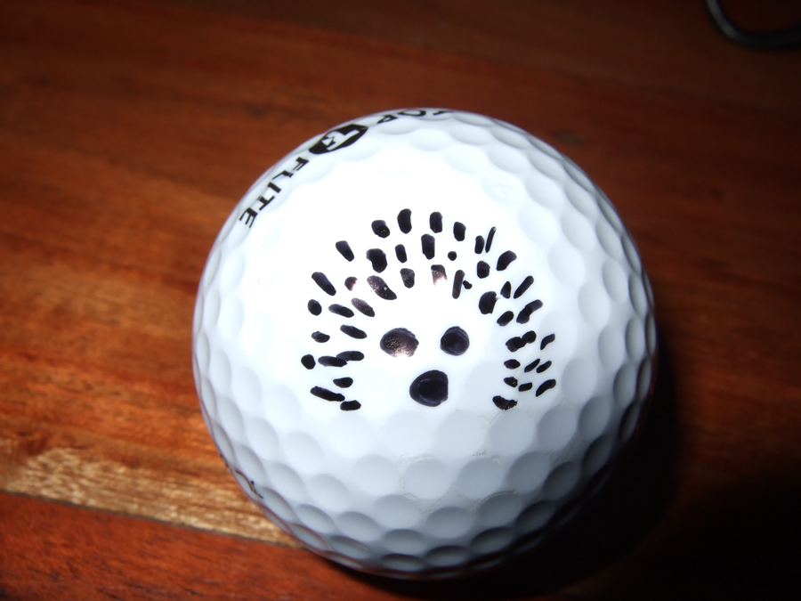 Sharpie ball marker golf competition 20 of the best Golf Monthly