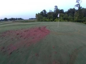 Golf Club Of Houston Vandals Caught