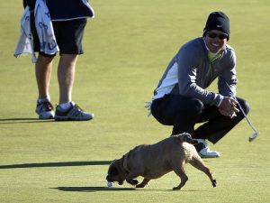 How To Survive Golf’s Worst Scenarios