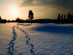 5 Top Winter Golf Hacks