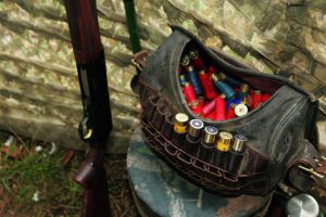 Pigeon cartridges
