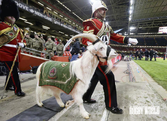 PHOTO: INPHO/Cathal Noonan from Wales 24-15 Italy