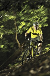 Canyon Nerve AM6 Action 2