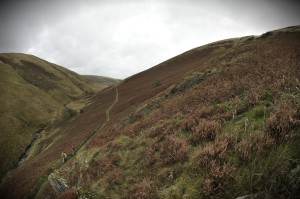 A true natural gem - Doethie Valley
