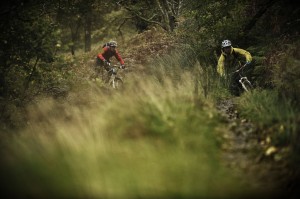 Trails of distinction