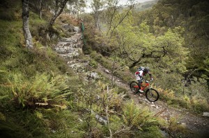 World Cup downhill or walker's trail? You decide...