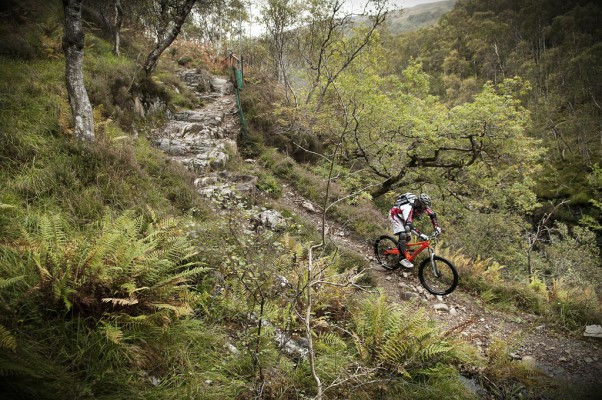 World Cup downhill or walker's trail? You decide...