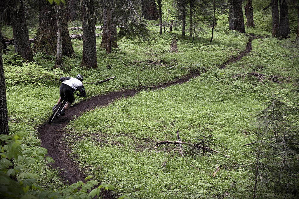 _MG_3347 'Wild' Bill Rousell rails a turn on Alpine, in Oakridge