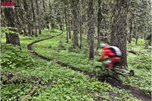 Click to make full size (2168 x 1440)