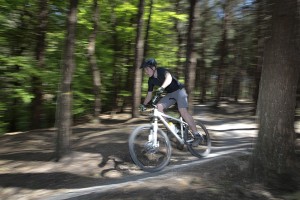 There are more than 100 walks and rides included in the September festival