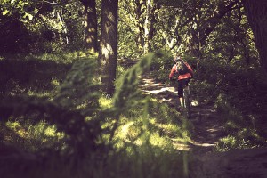 Download this great GPS mountain bike route from Shipley, Leeds