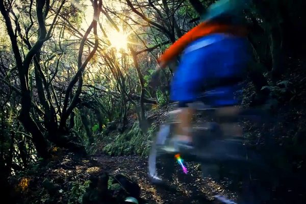 Volcanic summits give way to lush, tropical rainforests on La Isla Bonita