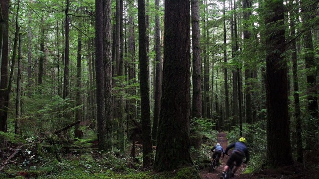 Sometimes you don't need a reason to escape