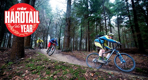 hardtail of the year 2019