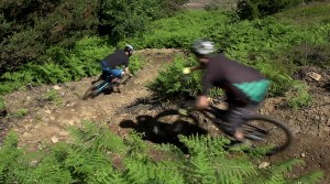 Bike Park Wales mountain bike trail centre