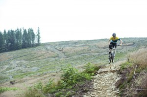 Wibby Wobbly at Bike Park Wales