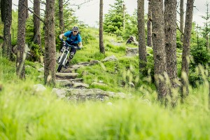 Davagh Forest Trails mountain bike Northern Ireland