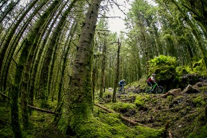 Davagh Forest mountain bike trails Northern Ireland