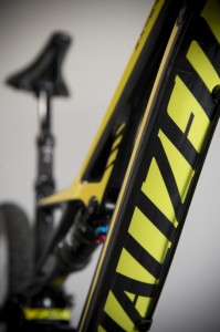 Camber Expert Evo down tube