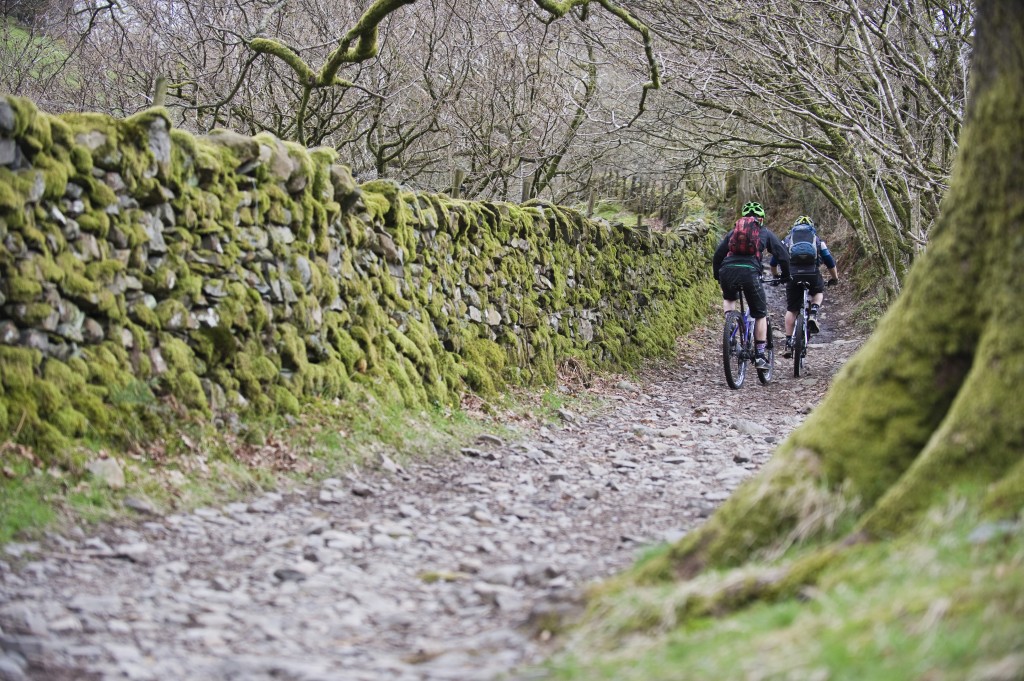 Grizedale_grizzly_adventurex_ride