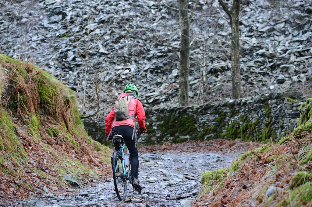 Grizedale_grizzly_ride_adventureX20140126_0021