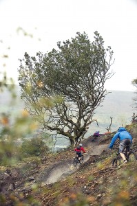 Letting it all hang out on Willy Waver