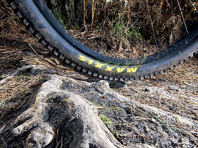 Roots disrupt your flow, so try not to pedal