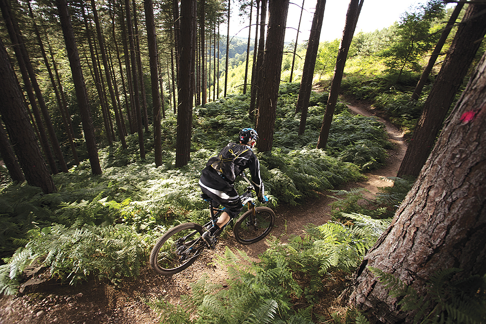 6. Lower Cliff descent