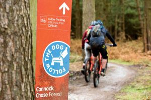 cannock chase