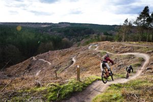 cannock chase