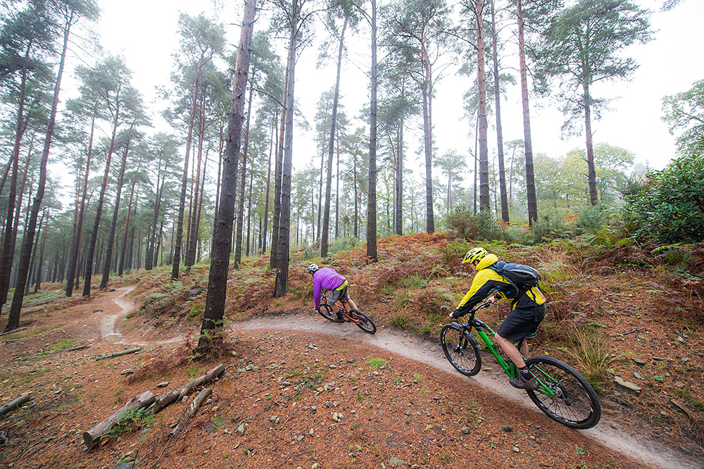 woodland cycle routes near me