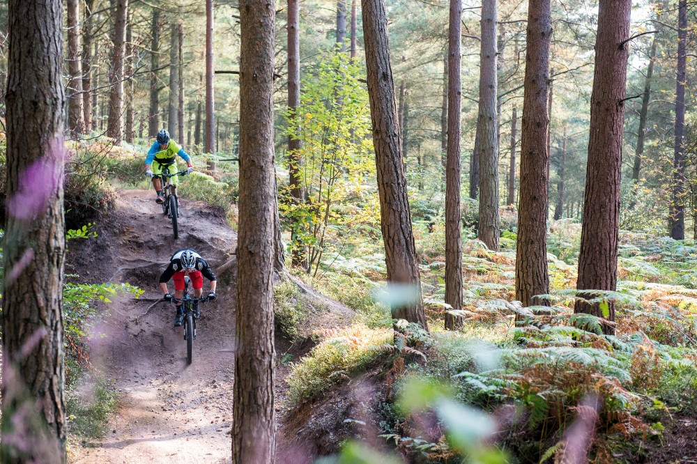 The best trail hardtails MBR