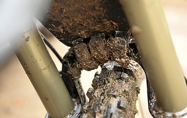 winter hardtail