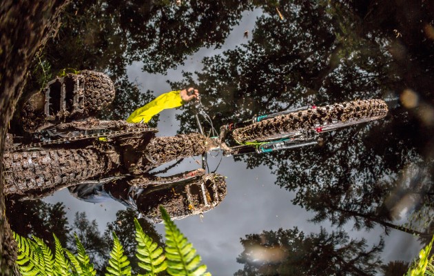winter hardtail