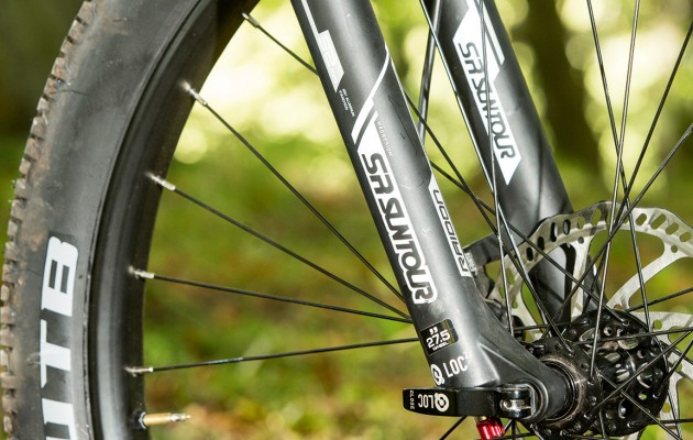 Radion fork is no big name Fox but it's stiff and well damped (Kirkman)