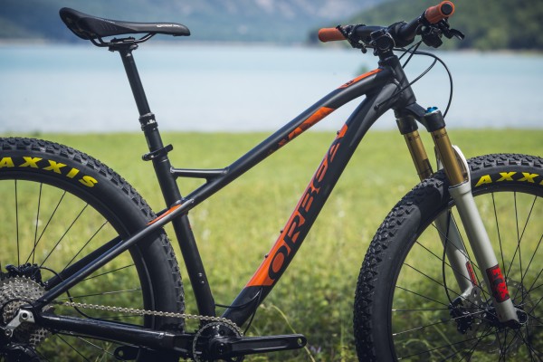 aggressive carbon hardtail