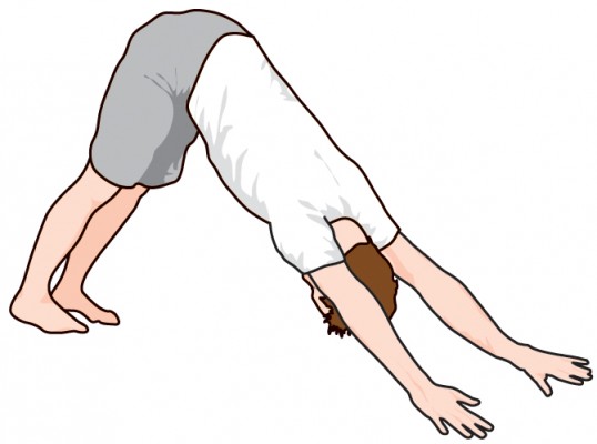 Down Dog exercise