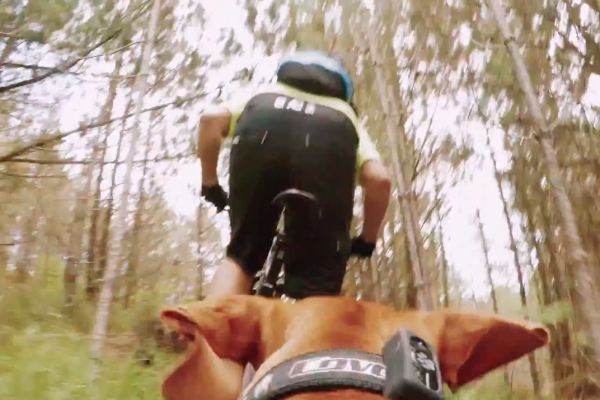 G Paw S featured 2 ??