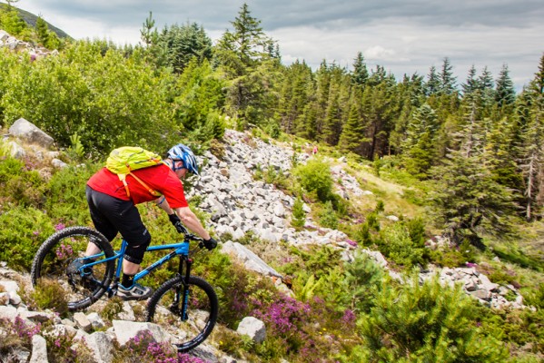 BluePig_riding_shot[9]