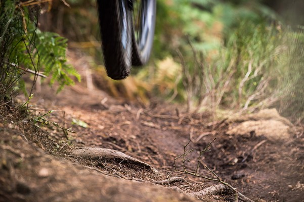 Dirt jump skills for trails jumping