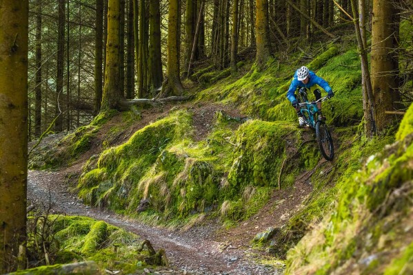 trail centre zen bus stops