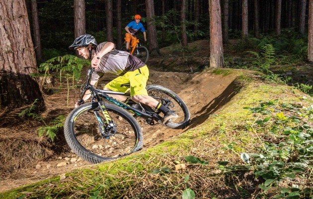 best bikes for plus size riders