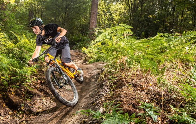 Review of the year bikes plus bikes