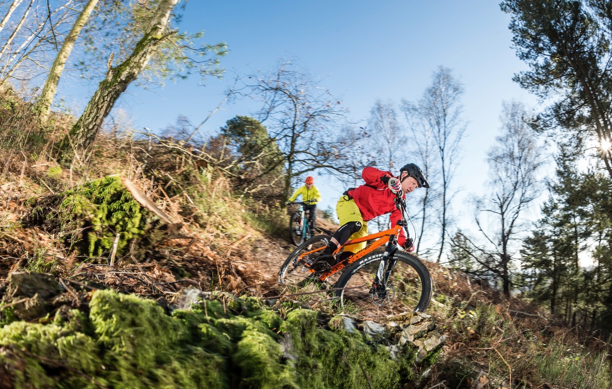 the squeaky wheel bike shop