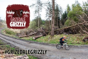 Grizedale-Grizzly