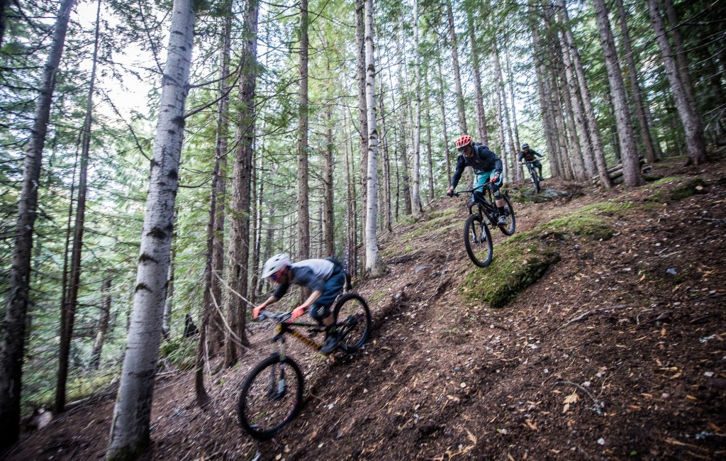 Cross country vs downhill vs freeride who comes out on top in the