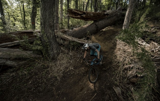 Transition carbon patrol released riding 1