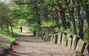 Otley Chevin